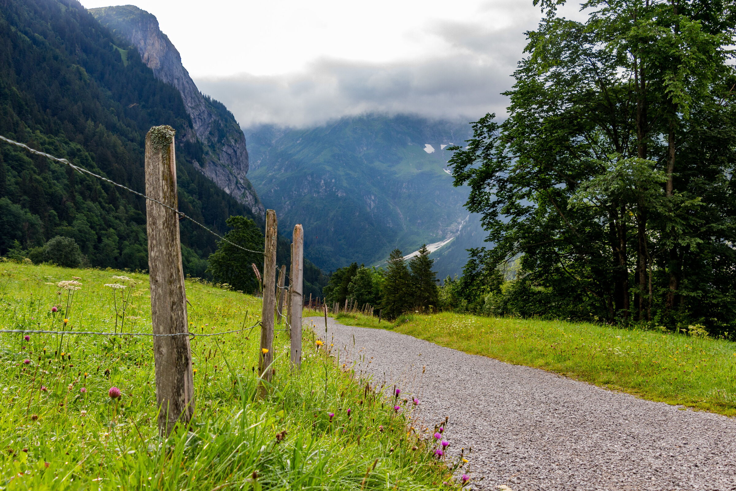 Gravel path through green meadows with mountains in the background under a cloudy sky.
