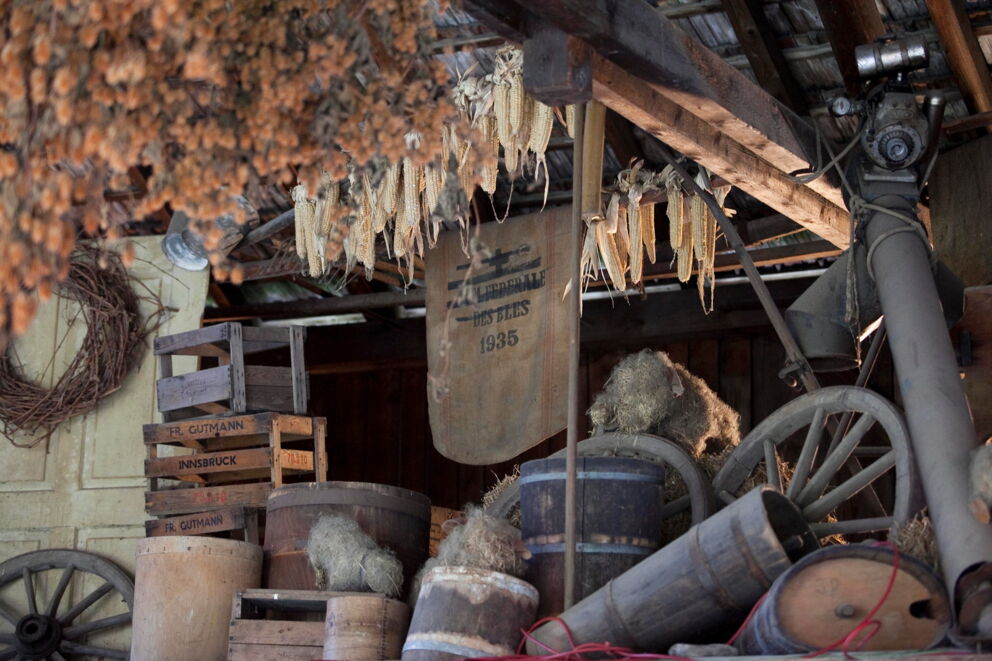 Old wooden barrels and baskets in a rustic barn with corn and wagon wheel.