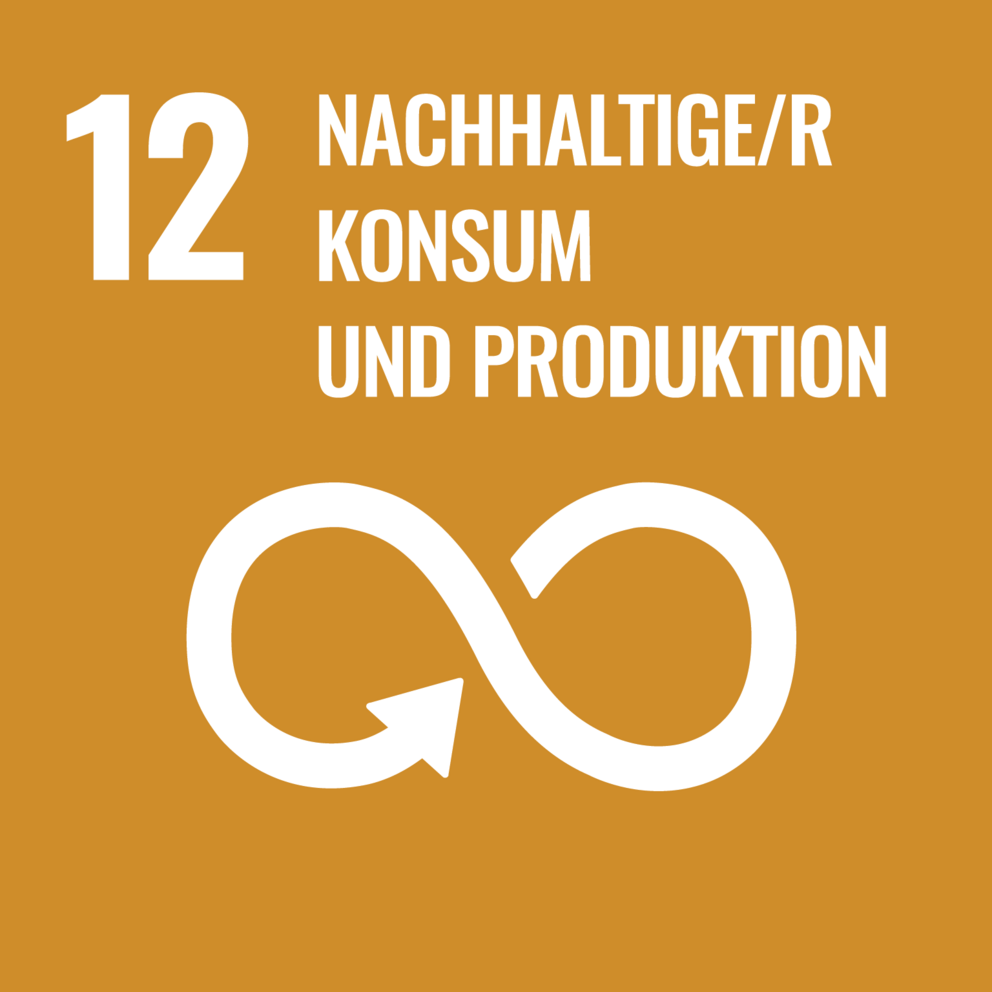 Braunes Logo mit einem weissen Unendlichkeits Symbol und dem Schriftzug Nachhaltiger Kunsum und Produktion