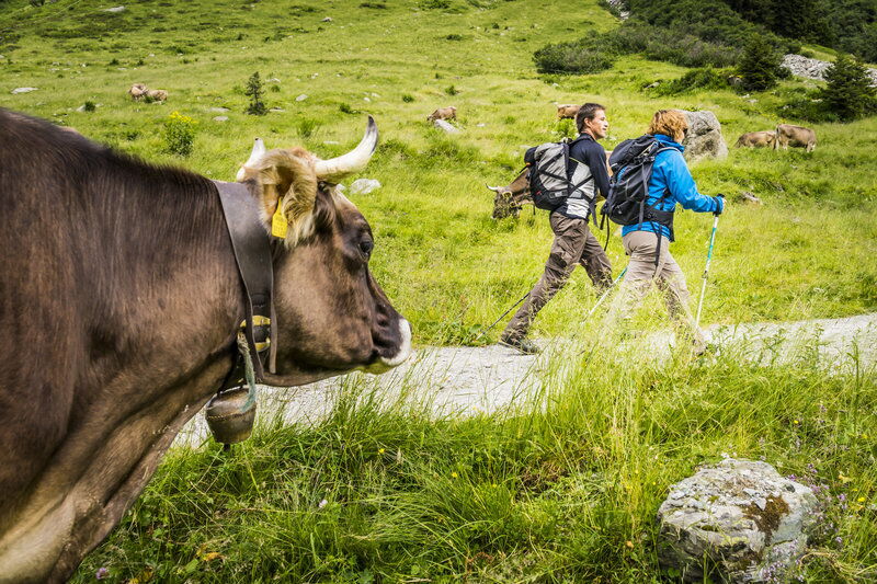 Hikers hiking in autumn in Vorarlberg © vorarlberg-tourismus