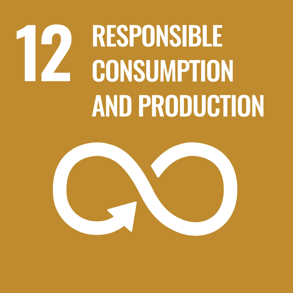 Brown logo with a white infinity symbol and the words Responsible Consumption and Production