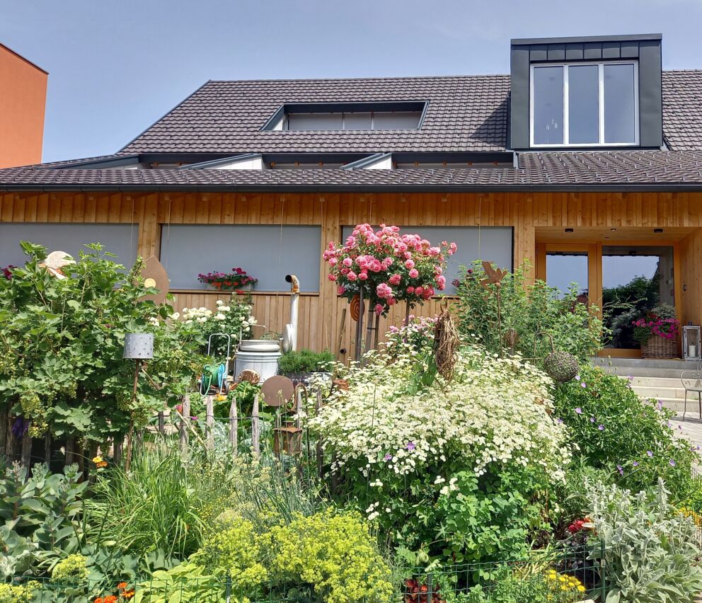 Lush garden with colorful flowers in front of a rustic wooden building on a sunny day.
