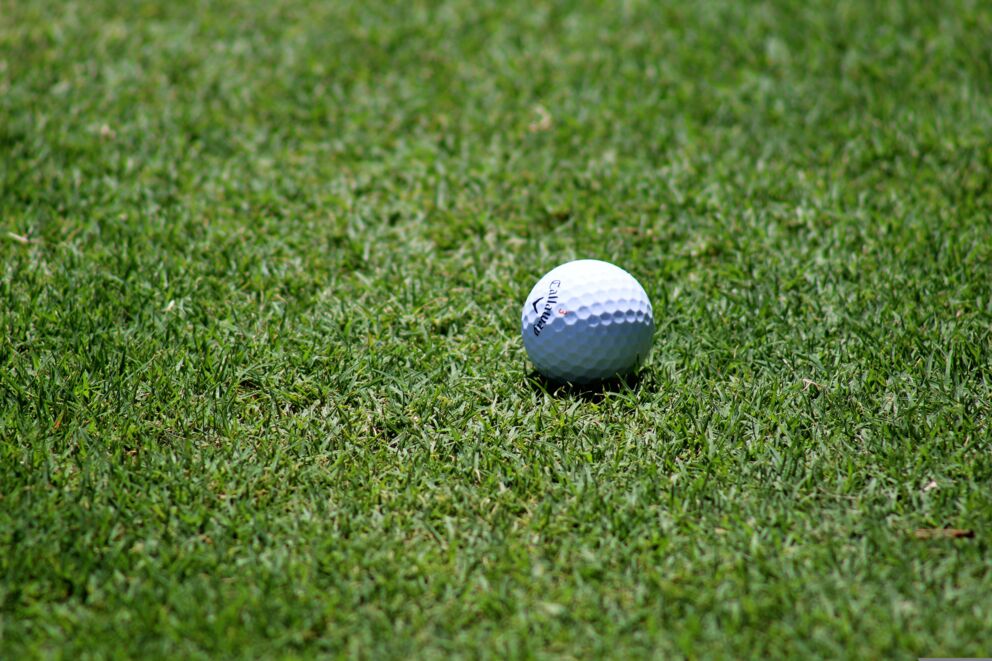 Ein einzelner Golfball liegt auf grünem Gras in der Nahaufnahme.