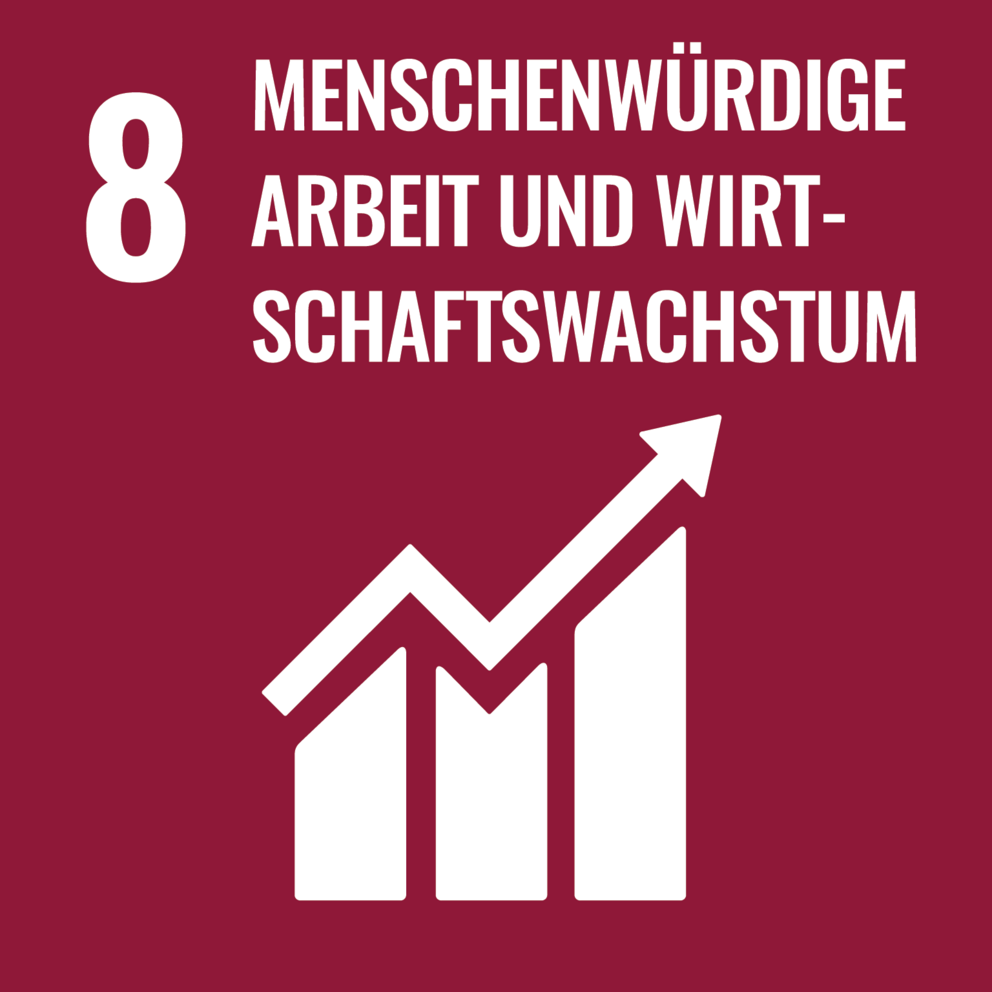 Red logo with an arrow pointing upwards Symbol with the words Decent Work and Economic Growth