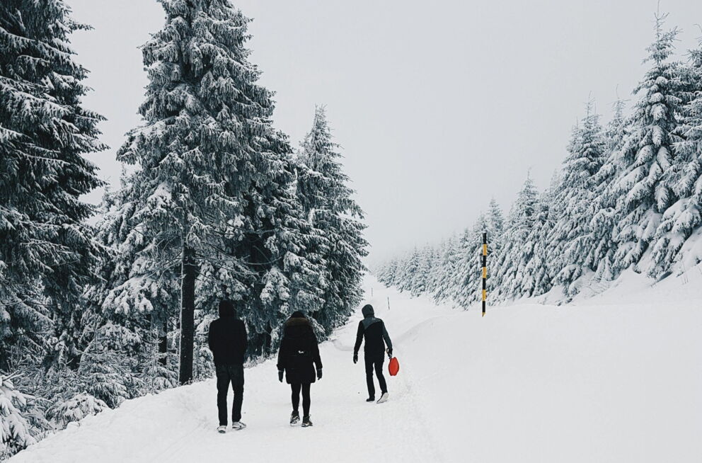 Menschen wandern auf schneebedecktem Weg durch verschneiten Wald.
