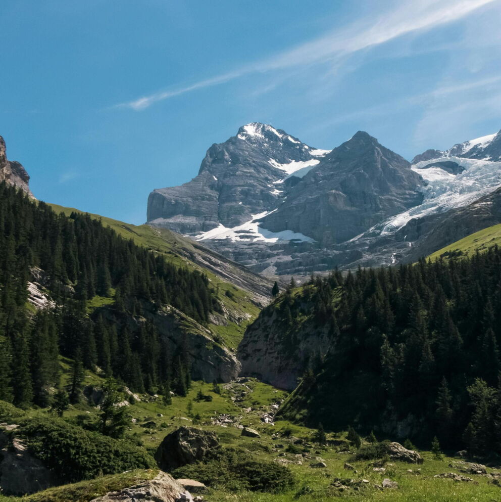 Grüne Landschaft mit Berggipfeln und blauem Himmel im Hintergrund.