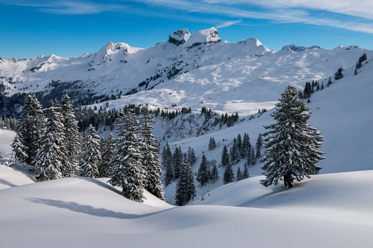 Schneebedeckte Berge und Tannen unter klarem blauen Himmel bei Sonnenlicht.