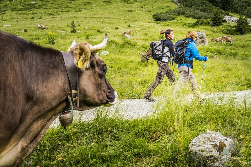 Wanderer am Wandern im Herbst in Vorarlberg © vorarlberg-tourismus