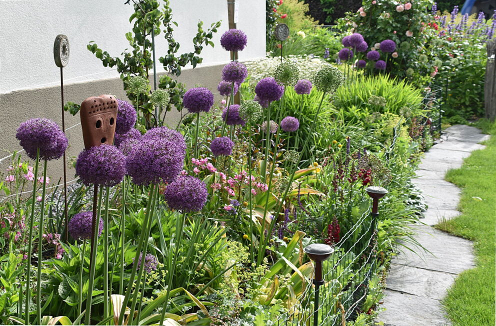 Lush flowering garden with purple flowers and decorative elements along a path.