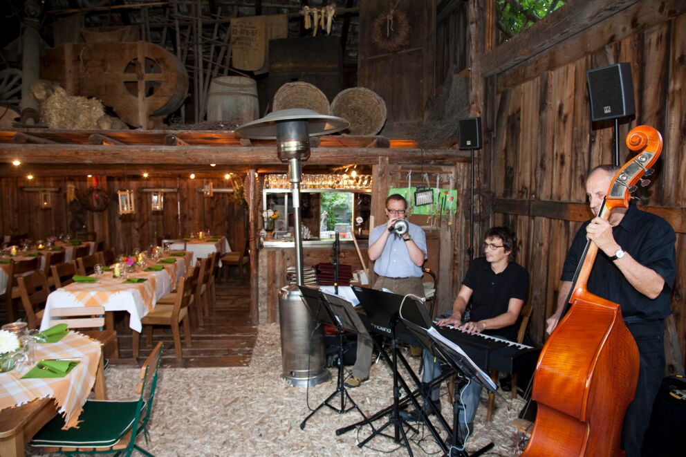 Music trio plays in a rustic, charmingly decorated room with wooden accents.