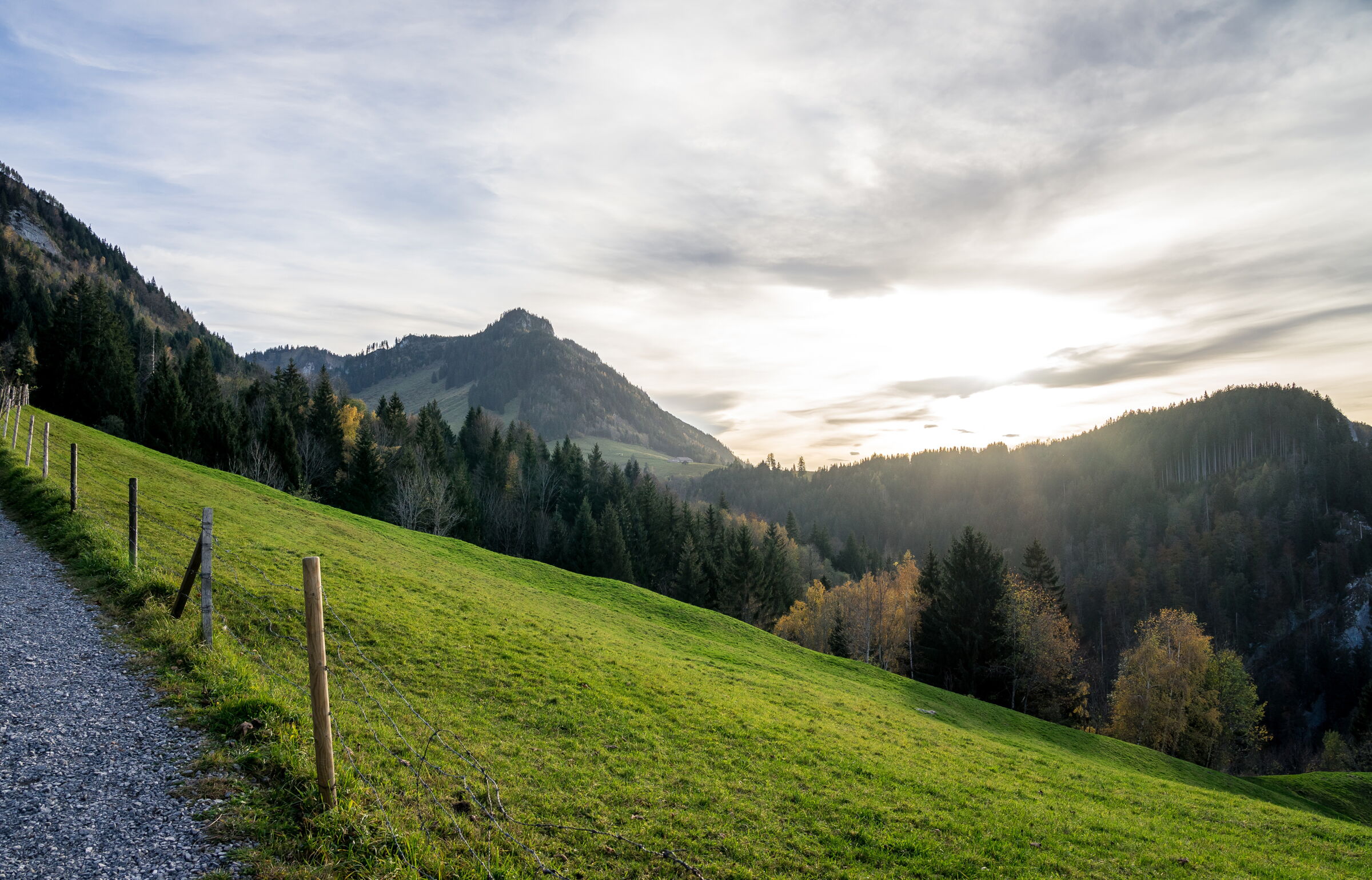 Glowing mountain landscape with forest and meadows in the evening light
