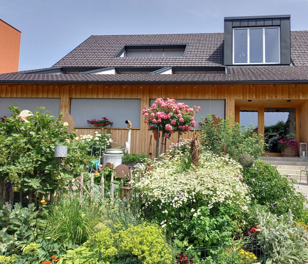 Lush garden with colorful flowers in front of a rustic wooden building on a sunny day.